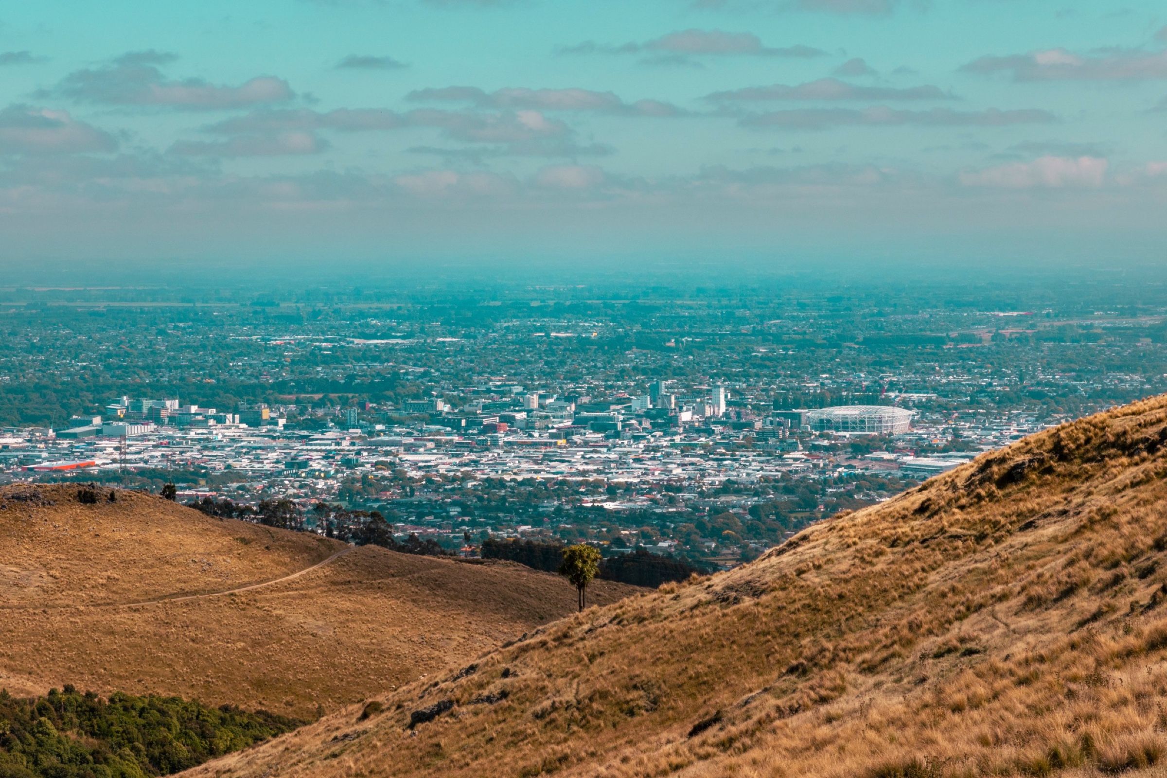 Christchurch spread across the plains, seen from the tussock slopes of the Port Hills